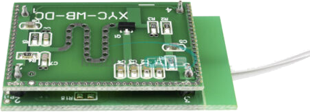 LeakLynx